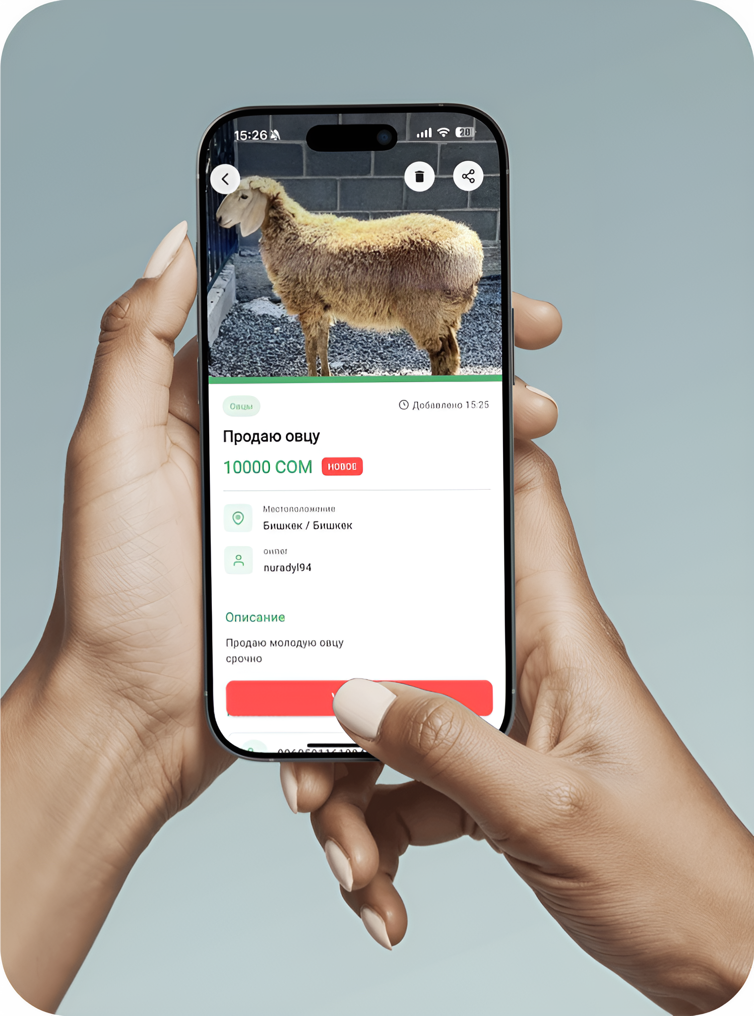 Мал Базар Кыргызстан