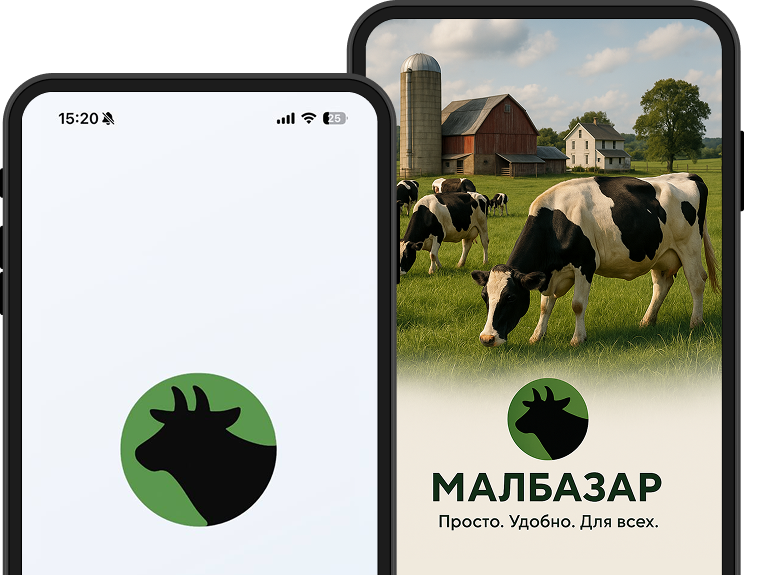 Мал Базар Кыргызстан